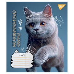 А5/18 кл. Yes Adventurous cats, зошит учнів. купить в Украине