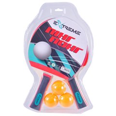 Теннис настольный TT2253 (50 шт)2 ракетки,3 мячика на планшетке купити в Україні