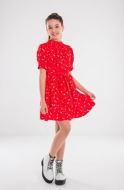 Плаття Лессі ПЛ-33013 (Suzie) 10л/140/38, Красный купити в Україні