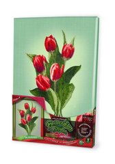 Набор для творчества "Вышивка гладью по номерам: Тюльпаны" купить в Украине