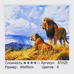 Картина за номерами + Алмазна мозаїка B 72125 (30) "TK Group", 40x50 см, в коробці купити в Україні