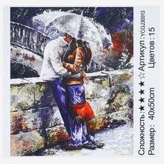 Картина за номерами YCGJ 36913 (30) "TK Group", 40х50 см, “Побачення під дощем”, в коробці купить в Украине