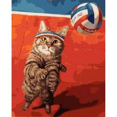 Картина по номерам "Кот и волейбол" купить в Украине
