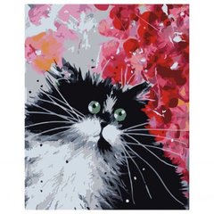 Картина по номерам "Чёрно-белый котик" VA-0504 Strateg (4823113803568) купить в Украине