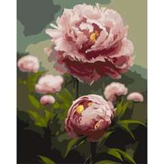 Картина по номерах "Піони - квіти весни" 40x50 см купити в Україні