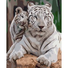 Картина по номерах 0007 ОРТ кол. Сім "я білих тигрів 40*50 купить в Украине