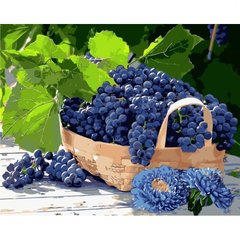 Картина по номерам "Виноград в корзине" ★★★★ купить в Украине
