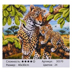Картина за номерами 30370 (30) "TK Group", "Леопарди", 40х30см, в коробці купити в Україні
