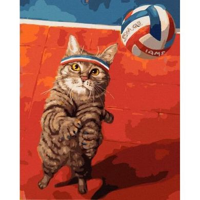 Картина по номерам "Кот и волейбол" купить в Украине
