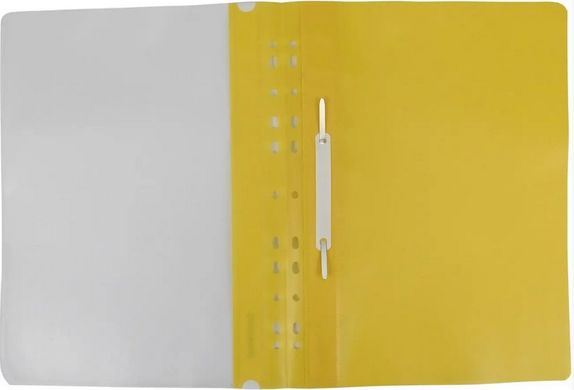Папка-швидкозшивач E38504-04 Economix Light з прозорим верхом А4 з перфорацією глянець, зелений (4044572385005) купити в Україні