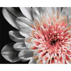 Картина по номерам "Бело-розовая георгина" 40x50 см купить в Украине