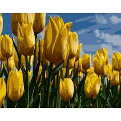Набір для розпису по номерах Поле жовтих тюльпанів Strateg розміром 40х50 см (GS260) купить в Украине