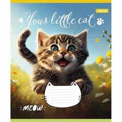 А5/18 кл. 1В Your little cat, зошит учнів. купить в Украине