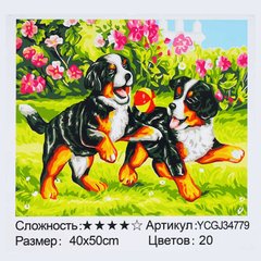 Картина за номерами YCGJ 34779 (30) "TK Group", 40х50 см, "Песики", в коробці купить в Украине
