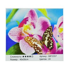 Алмазная мозаика GB 72357 (30) в коробке 40х30, 24 цвета купить в Украине