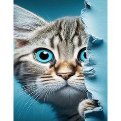 Алмазна мозаїка без підрамника "Котик з блакитними оченятами" 40х50 купить в Украине