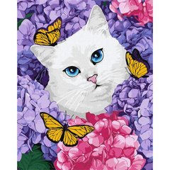 Картина по номерам "Белоснежный котик" купить в Украине