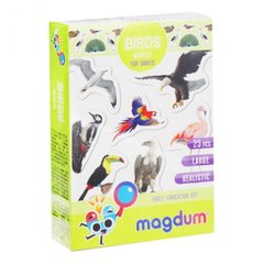 Набор магнитиков "Птитцы" ML4031-30 EN Magdum, в коробке (4820215153553) купить в Украине
