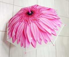 Зонтик детский F17814 Цветок, клеёнка Розовый купить в Украине