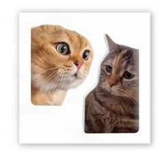 3D стікер "Мем: Коти" (ціна за 1 шт) купити в Україні