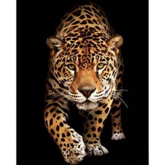 Набір для творчості алмазна картина Зустріч з леопардом Strateg розміром 40х50 см (SK79464) купить в Украине