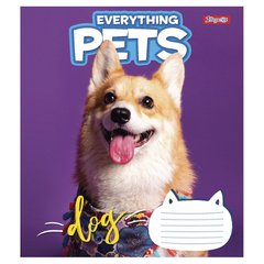 А5/36 кл. 1В Be Everything pets, зошит для записів купить в Украине