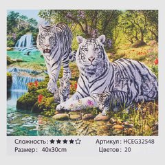 Картини за номерами 32548 (30) "TK Group", "БІлі тигри", 40*30см, в коробці купить в Украине