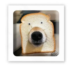 3D стікер "Хлібний пес" (ціна за 1 шт) купити в Україні