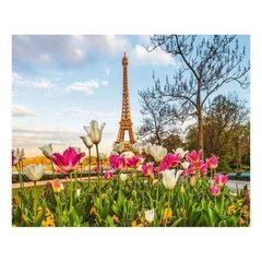 Картина по номерам "Весна в Париже" 40х50 см купить в Украине