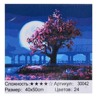 Картина по номерам 30042 (30) "TK Group", 40х50см, в коробке купити в Україні
